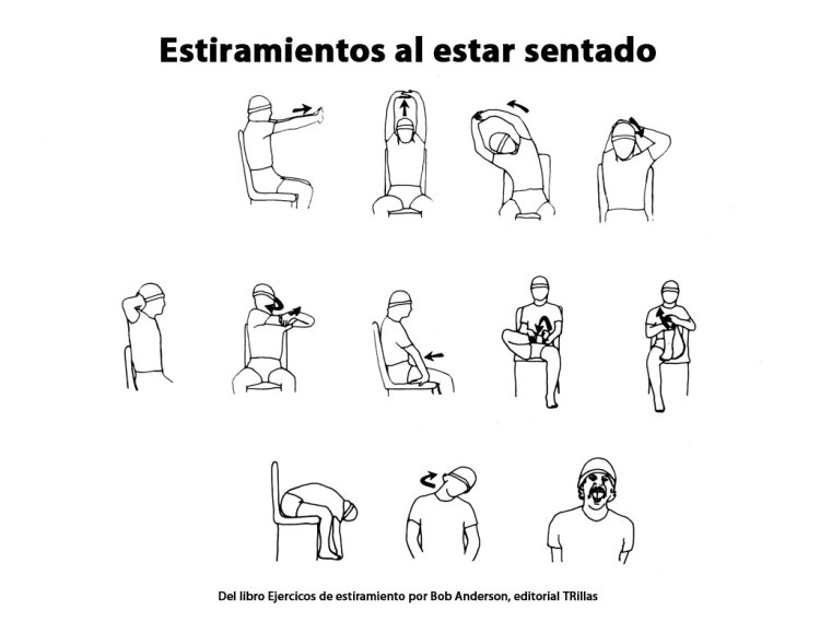 Estiramientos al estar sentados