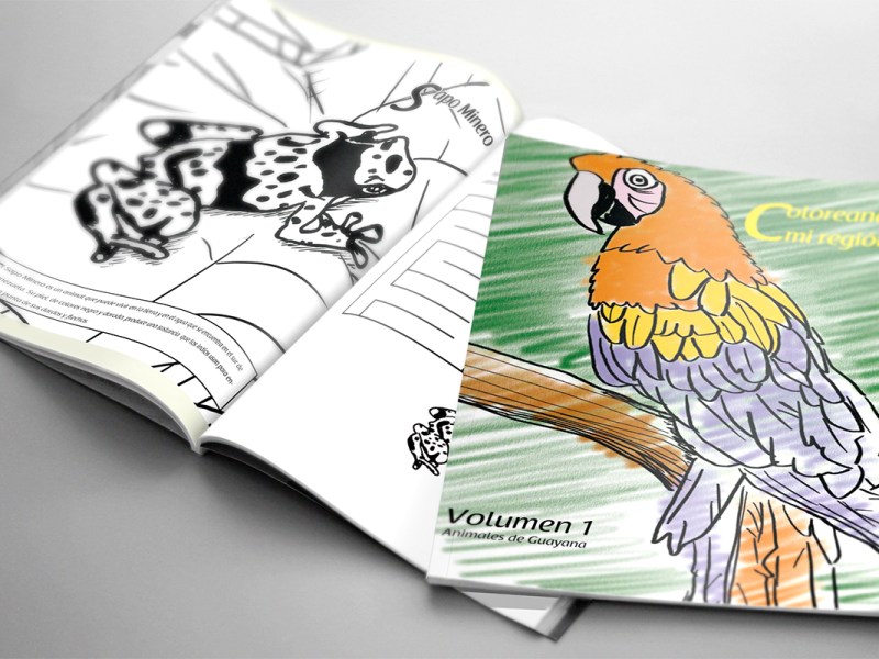 coloreando-mi-region-1