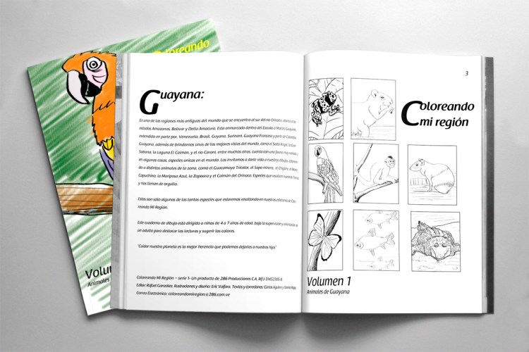 coloreando-mi-region-2